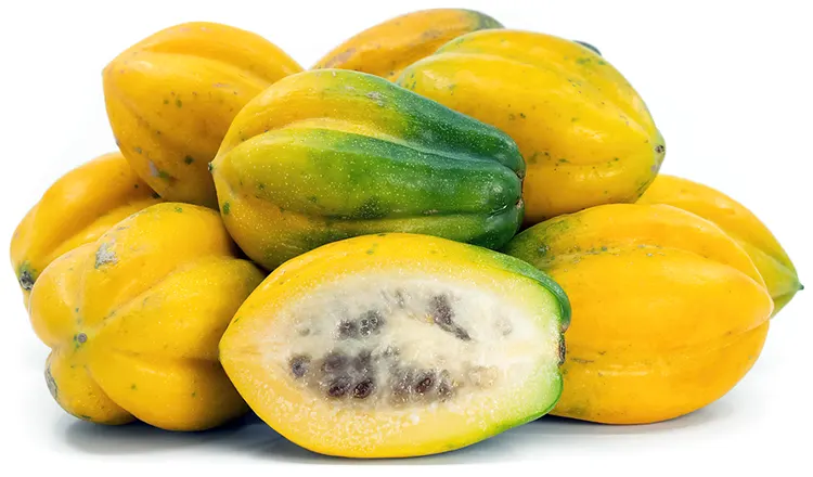 Carica, Buah Khas Dieng yang Memiliki Cita Rasa Unik